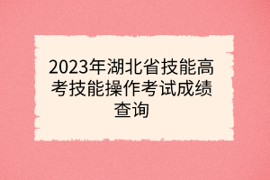 2023年湖北省技能高考技能操作考試成績查詢