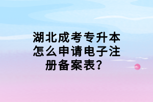 湖北成考專升本怎么申請電子注冊備案表？