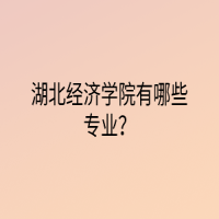 湖北經(jīng)濟學院有哪些專業(yè)？