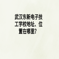武漢東新電子技工學校地址、位置在哪里？