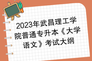 2023年武昌理工學(xué)院普通專升本《大學(xué)語文》考試大綱