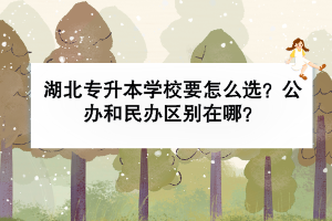 湖北專升本學(xué)校要怎么選？公辦和民辦區(qū)別在哪？