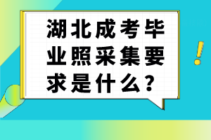 湖北成考畢業(yè)照采集要求是什么？