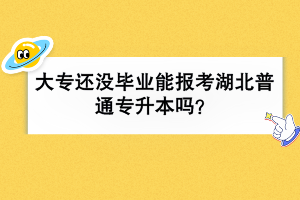 大專還沒畢業(yè)能報(bào)考湖北普通專升本嗎？