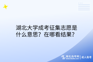 湖北大學(xué)成考征集志愿是什么意思？在哪看結(jié)果？