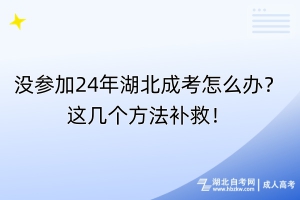 沒參加24年湖北成考怎么辦？這幾個方法補救！