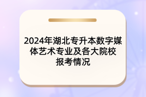 2024年湖北專升本數(shù)字媒體藝術(shù)專業(yè)及各大院校報(bào)考情況