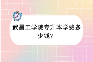 武昌工學(xué)院專升本學(xué)費(fèi)多少錢？