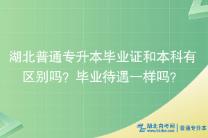 湖北普通專升本畢業(yè)證和本科有區(qū)別嗎？畢業(yè)待遇一樣嗎？