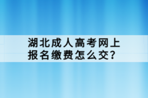 湖北成人高考網(wǎng)上報(bào)名繳費(fèi)怎么交？