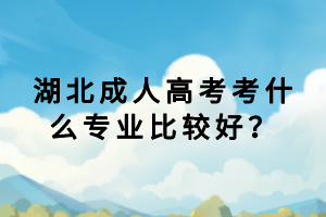 湖北成人高考考什么專業(yè)比較好？