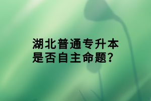 湖北普通專升本是否自主命題？