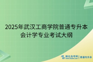 2025年武漢工商學(xué)院普通專(zhuān)升本會(huì)計(jì)學(xué)專(zhuān)業(yè)考試大綱