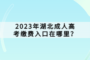 2023年湖北成人高考繳費(fèi)入口在哪里？