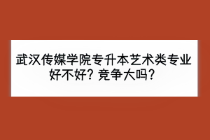 武漢傳媒學(xué)院專升本藝術(shù)類專業(yè)好不好？競爭大嗎？