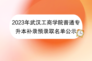 2023年武漢工商學(xué)院普通專(zhuān)升本補(bǔ)錄預(yù)錄取名單公示