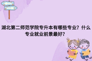 湖北第二師范學院專升本有哪些專業(yè)？什么專業(yè)就業(yè)前景最好？