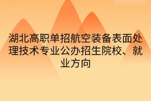 湖北高職單招航空裝備表面處理技術專業(yè)公辦招生院校、就業(yè)方向