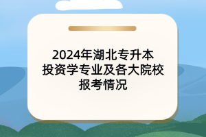 2024年湖北專升本投資學(xué)專業(yè)及各大院校報(bào)考情況