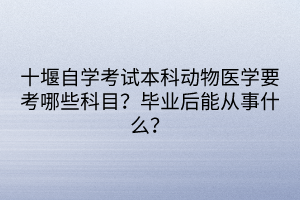 十堰自學(xué)考試本科動物醫(yī)學(xué)要考哪些科目？畢業(yè)后能從事什么？