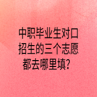 中職畢業(yè)生對(duì)口招生的三個(gè)志愿都去哪里填？