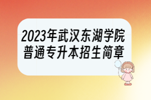 2023年武漢東湖學院普通專升本招生簡章