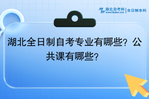 湖北全日制自考專業(yè)有哪些？公共課有哪些？