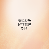 陽新縣木港職業(yè)中學(xué)有哪些專業(yè)？