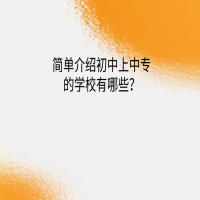 簡單介紹初中上中專的學(xué)校？