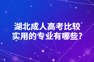 湖北成人高考比較實(shí)用的專業(yè)有哪些?