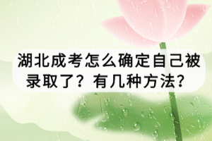 湖北成考怎么確定自己被錄取了？有幾種方法？