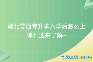 湖北普通專升本入學(xué)后怎么上課？速來了解~