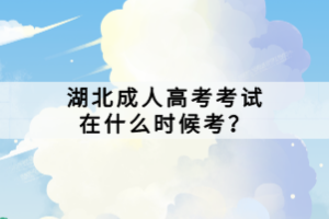 湖北成人高考考試在什么時(shí)候考？