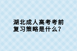 湖北成人高考考前復(fù)習(xí)策略是什么？