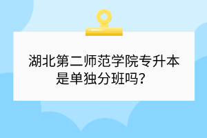 湖北第二師范學(xué)院專升本是單獨(dú)分班嗎？