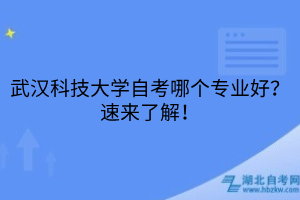 武漢科技大學(xué)自考哪個(gè)專(zhuān)業(yè)好？速來(lái)了解！