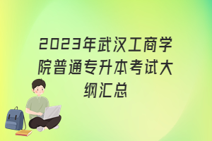 2023年武漢工商學(xué)院普通專升本考試大綱匯總