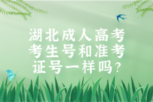 湖北成人高考考生號(hào)和準(zhǔn)考證號(hào)一樣嗎？