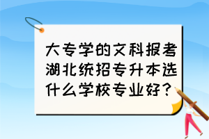 大專學(xué)的文科報(bào)考湖北統(tǒng)招專升本選什么學(xué)校專業(yè)好？