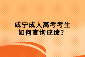 咸寧成人高考考生如何查詢成績？