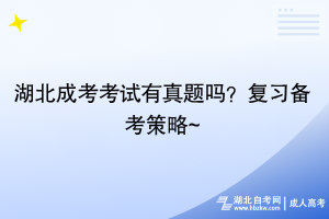 湖北成考考試有真題嗎？復(fù)習(xí)備考策略~