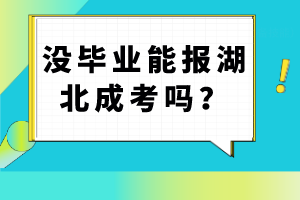 沒畢業(yè)能報(bào)湖北成考嗎？