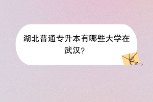 湖北普通專升本有哪些大學(xué)在武漢？