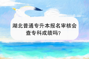 湖北普通專升本報名審核會審核專科成績嗎？
