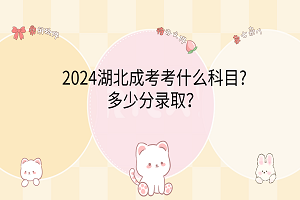 2024湖北成考考什么科目?多少分錄取？
