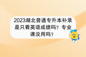 2023湖北普通專升本補(bǔ)錄是只看英語成績嗎？專業(yè)課沒用嗎？
