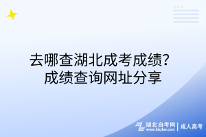 去哪查湖北成考成績？成績查詢網(wǎng)址分享