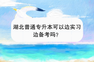 湖北普通專升本可以邊實習(xí)邊備考嗎？