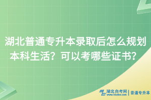 湖北普通專升本錄取后怎么規(guī)劃本科生活？可以考哪些證書？