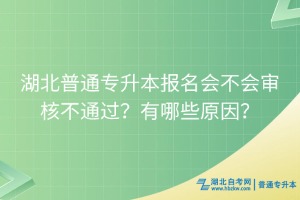 湖北普通專升本報(bào)名會(huì)不會(huì)審核不通過(guò)？有哪些原因？